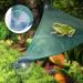 Triangular Mesh Reptile Hammock - Green (Medium) - Buy Online on GoSupps.com