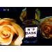 No.9 Bask - 98.8 Percent Pure (0.50 oz.) - Gold Label by Bask - Buy Online on GoSupps.com