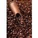  Barbera Barbera Coffee Beans 3 kg Bar Pack "Mago Plus" - Buy Online on GoSupps.com
