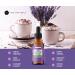 Lavender Extract (1oz) by Kate Naturals - 100% Natural & Vegan Flavoring for Baking & Drinks | Gluten-Free Edible Oil - Culinary Lavender Extract - Buy Online on GoSupps.com