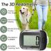 Buy 3D Pedometer - Accurate Walking Tracker with Clip/Lanyard & Large LCD Display for Women & Kids | International Shipping Available - Buy Online on GoSupps.com