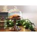 Nyakers Pepparkakor Ginger Snaps: Vegan Dairy-Free Swedish Cookies - 150g | Perfect On-the-Go Snack & Holiday Gift - Buy Online on GoSupps.com
