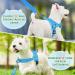 Eyein No-Pull Dog Harness with Leash | Soft Padded Adjustable & Reflective | Perfect for Puppies Small & Large Dogs Cats - Light Blue (Size S) - Buy Online on GoSupps.com