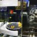 Weaverbird Fish Egg Incubator Tumbler 40MM for Cichlids Breeding in Aquarium Fish Tank - Buy Online on GoSupps.com