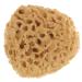 FRCOLOR Bath Shower Sponge Bath Supplies Back Scrubber Bathroom Shower Ball Bath Back Sponge Bath Exfoliating Sponge Bath Ball Skin Cleaning Scrubber Bath Sponge Body Sponge Bath Tools