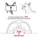 Namsan Dog Sunglasses - Stylish Eye Protection for Small/Medium Dogs | Adjustable Fashionable Dog Glasses with Blue Lenses - Buy Online on GoSupps.com