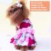 KYEESE Elegant Princess Dog Dress with Rose and Flowers Decor for Small Dogs - Medium Size | Spring Summer Dog Apparel - Buy Online on GoSupps.com