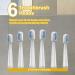 Sonic Electric Toothbrush for Adults | 6 Brush Heads | Wireless Fast Charging | 5 Modes | Rechargeable Last 60 Days | White - Buy Online on GoSupps.com