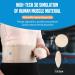 Heerteteaj Umbilical & Inguinal Hernia Bandage | Comfortable Belly Belt for Men & Women - Ideal Navel Hernia Support - Buy Online on GoSupps.com