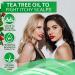 Tea Tree Oil Hair Serum Spray - Moisturizing Treatment for Dandruff, Dry & Itchy Scalp - Repair & Styling for Women and Men - with Anti-Frizz Keratin - Buy Online on GoSupps.com