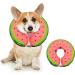 Ducomi Inflatable Dog & Cat Hinges - Comfortable Recovery & Freedom of Movement | Prevent Scratches & Bites (Watermelon M) - Buy Online on GoSupps.com