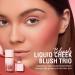 Oil-Free Liquid Blush with Air Cushion for Sheer Flush of Color - 104 Risky Business - Buy Online on GoSupps.com