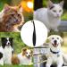 Professional Tear Stain Remover Powder & Applicator Brush for Dogs & Cats | Eye Care Comb for Pet Tear Stains - Buy Online on GoSupps.com