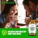 Premium Mint Flavored 100000mg High Strength Vegan Oil for Joint Sleep | Omega 3-6-9 & Nutrient-Rich | 60ml - Buy Online on GoSupps.com