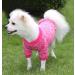 Hualisiji Small Dog Sweater - Cozy Knit for Chihuahuas | Warm Lightweight & Soft Texture | Available in Rose Red Size L - Buy Online on GoSupps.com