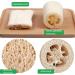 Natural Loofah Sponge - Exfoliating Bath Brush | Biodegradable Shower Sponge 15cm - Multi-Purpose White Loofah - Buy Online on GoSupps.com