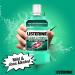 Buy LISTERINE Clean & Fresh 500ml | Alcohol-Free Antibacterial Mouthwash with Essential Oils | Ideal for Braces | International Shipping Available - Buy Online on GoSupps.com