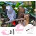 DOITOOL 4 Sets Bird Leash Suspend Bearded Dragon Harness Reptile Harness Bird Harness Outdoor Car Supplies 12X6X1.3CMx4pcs Pinkx4pcs - Buy Online on GoSupps.com