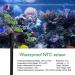 NEKOSUKI Reptile Terrarium Thermostat Controller - Digital LED Temperature Controller for Aquarium & Reptile 1100W 220V - Buy Online on GoSupps.com