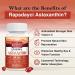 Liposomal Astaxanthin 24mg Supplement - Powerful Antioxidant for Eye & Immune Health - Superior Absorption - 60 Count - Buy Online on GoSupps.com