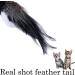 JAKAGO Realistic Bird Cat Toy - Feather Handmade Sparrow & Parrot Simulation - Buy Online on GoSupps.com