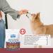 Revive Active Freeze Dried Beef Liver Treats for Dogs and Cats 420gr- Nutritious Pure and All Nutritive Low Calorie Per Treat Great for Training Easy to Break in Pieces 420 g (Pack of 1) - Buy Online on GoSupps.com