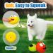 Holysteed Dog Toys for Small Dogs - Squeaky Latex Puppy Toys Soft Multicolored Burger Shape - 6 Pieces (5.5 x 3.5 cm) - Buy Online on GoSupps.com