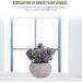 Ciieeo 2pcs Simulated Green Bonsai Artificial Succulents Plants Miniture Decoration Artificial Cactus Small Succulent Plants Silk Plants Greenery Decor Accessories Office Foam Nordic - Buy Online on GoSupps.com