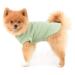 Paidful Soft Cotton Vest T-Shirts for Small to Medium Dogs & Cats - Breathable Summer Clothing for Puppies Chihuahuas and Yorkies - Green XXL - Buy Online on GoSupps.com