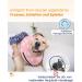 Supet Rewrise Dog Inflatable Collar for Pets - Adjustable Post-Surgery Comfort & Protection (Pink Paw Size L) - Buy Online on GoSupps.com