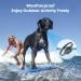 AINSYLI Anti Barking Dog Collars Stop Dog Barking Collar Rechargeable Vibration & Beep No Shock Bark Collar with 7 Sensitivity for Small Medium Large Dog IP67 Waterproof Dark Black - Buy Online on GoSupps.com