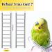Kigeli 6 Pcs Step Ladder for Bird Bird Toys Ladder Hanging Bird Ladder Parrot Step Ladders Cage Hanging Bird Climbing Toys for Parakeets Parrots Cockatoo and Lovebirds (Stainless Steel 1 Size) Stainless Steel One Size - Buy Online on GoSupps.com