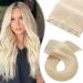 Silk-co Clip in Hair Extension Blonde Human Hair One Piece Real Remy Hair Extenion Straight 3/4 Full Head (14"-45g 60 Platinum Blonde)