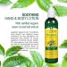Organix South TheraNeem Naturals Neem Therapy Skin Lotion 8 fl oz â€“ Natural Moisturizer for Healthy Skin - Buy Online on GoSupps.com
