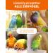 Petifool Red Millet 500g - Premium 100% Natural Bird Food for All Ornamental Birds - Single Feed - Buy Online on GoSupps.com