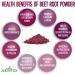 Alovitox Organic Beet Root Powder - 100% Pure USDA Extract - Nitric Oxide Superfood - Vegan & Gluten-Free - 16 oz - Buy Online on GoSupps.com