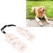 Fockety Dog Front Leg Brace Polyester Cotton 1 Pair Dog Elbow Brace for Pet Supplies (2XL) - Buy Online on GoSupps.com