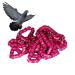 50 Multicolored Aluminum Pigeon & Chicken Leg Rings | Bird Identification Foot Rings - Training Accessories - Buy Online on GoSupps.com