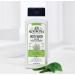 JR Watkins Natural Aloe & Green Tea Body Wash 6 Pack - Hydrating Shower Gel | SLS-Free, USA Made, 18 fl oz (Pack of 6) - Buy Online on GoSupps.com
