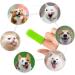 Aujzoo 360 Pet Toothbrush Set | Silicone Finger Toothbrush for Dogs & Cats | Best Dental Care for Pets | International Shipping Available - Buy Online on GoSupps.com