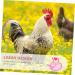 SEWOART Chicken and Duck Vest Hen Pet Harness Puppy Harness Comfortable Pet Harness Pet Leash Polyester Pink 17X15X0.5CM Pink - Buy Online on GoSupps.com
