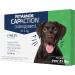 PetArmor Capaction Oral Flea Treatment for Dogs Over 2 lbs, Fast Acting, 6 Tablets Over 25 lbs