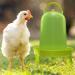 5L Automatic Chicken Water Dispenser & Poultry Drinks | 1.5L 3L 8L Options | Essential Chicken Accessories - Buy Online on GoSupps.com