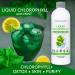 Eniva Health Liquid Chlorophyll Super Greens 24000 MG with Prebiotic & L-Glutamine | Skin Immunity Energy Detox Gut Health | Mint Flavor | Vegan | Gluten Alcohol Paraben Free | 48 Servings - Buy Online on GoSupps.com