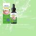 Natural Gum Repair Drops for Adults 60ml Mint Flavor Relieves Receding Gums Bad Breath & Dry Mouth Alcohol-Free Oral Care Solution - Buy Online on GoSupps.com
