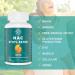 Lipmaxmall N-Acetyl Cysteine Ethyl Ester Nacet 60 Capsules - Pack of 5 | Powerful Antioxidant Supplement - Buy Online on GoSupps.com