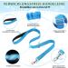 Eyein No-Pull Dog Harness & Leash | Soft Padded Reflective Adjustable for Puppies & Small to Large Dogs | Blue-Green XS - International Shipping - Buy Online on GoSupps.com