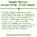 Nature's Way Peppermint Leaf 700 mg - 100 Vegan Capsules for Digestive Health - Buy Online on GoSupps.com