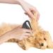 10-Piece Cat Knot Comb Set - Pet Care Brush for Cats | Hair Removal & Massage Tool (Black) - Buy Online on GoSupps.com