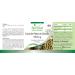 Fairvital | Pumpkin seed extract 500 mg - 90 capsules - 10 times more concentrated with selenium and vitamin E - high - Buy Online on GoSupps.com